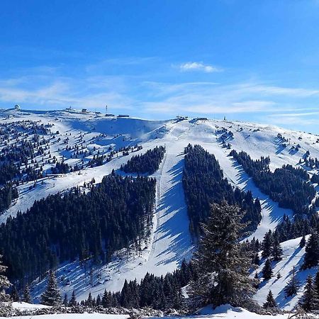 Woodside Apartment M Kopaonik Free Parking Buitenkant foto