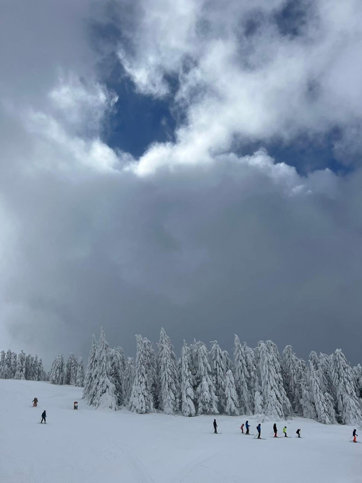 Woodside Apartment M Kopaonik Free Parking Buitenkant foto